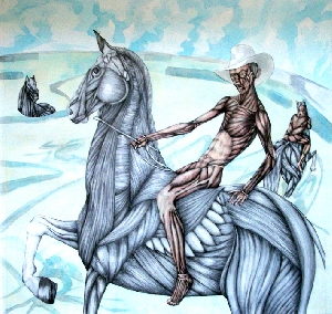 <b>Cowboy</b><br />pencil, watercolor on paper, 70x71 cm, 2011