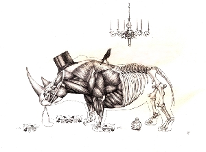 <b>Rhinoceros</b><br />pencil on paper, 13x18 cm, 2020