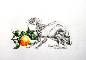 <b>Mad rabbit</b><br />pencil, acrylic, watercolor on paper, 29x21 cm, 2014