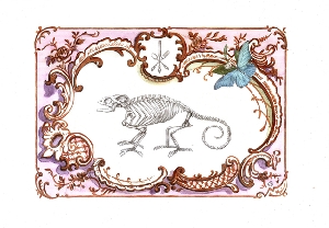 <b>Chameleon</b><br />pencil on paper, watercolor, acrylic, 21x29 cm, 2014