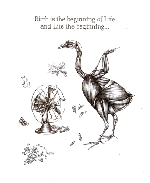 <b>Circle of Life</b><br />pencil on paper, 12x17 cm, 2020